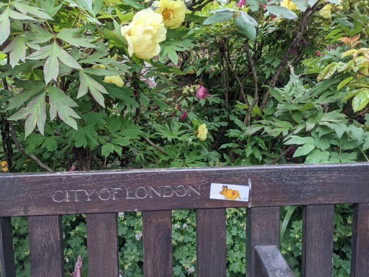 a photo of a sticker on a bench. the sticker depicts a fat yellow mouse. a thicket of rose bushes is visible behind the bench. it has large white roses and some small pink heads 