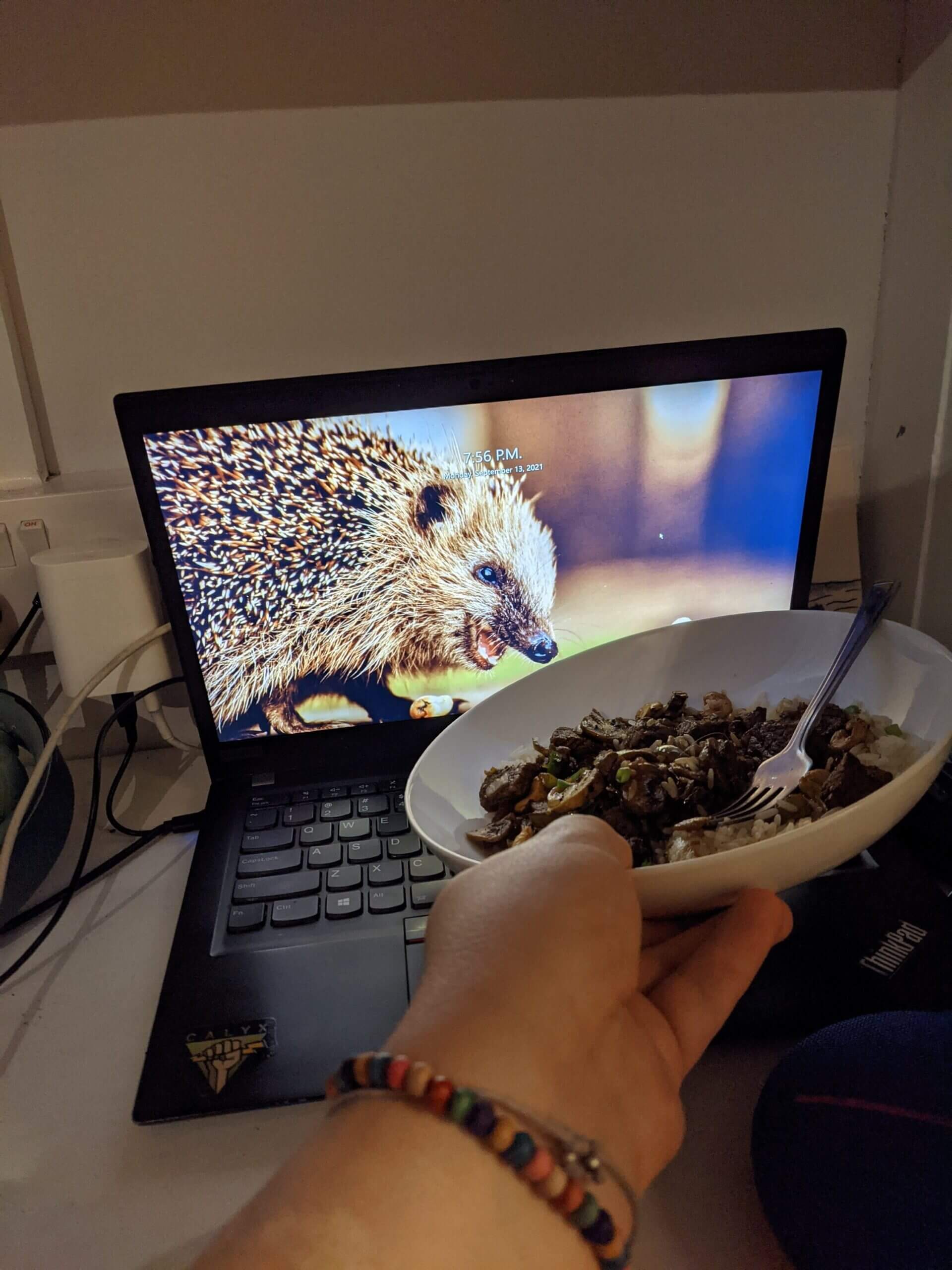 A plate of food being held in front of a photograph of a hungry and naughty
looking hedgehog